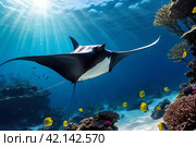 Manta Mobula (Mobulidae) cartilaginous fish swimming in tropical underwaters. Manta in underwater wild animal world. Observation of wildlife ocean. Scuba diving adventure in Ecuador coast. Стоковое AI-изображение, AI-художник Aleksandr Golubev / Фотобанк Лори