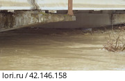 The water has risen to top of bridge pier. Thick, large concrete piers under water. A flowing river after heavy rain. An incredibly fast river. The flow of a dangerous wild river. Natural disasters. Стоковое видео, видеограф Воловодов Владимир / Фотобанк Лори