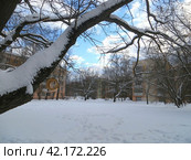 Солнечный день зимой.Деревянный домик-кормушка для птиц, сделанный своими руками, висит на дереве в городском парке на фоне многоэтажек.. Коммунарка. Москва. Россия (2024 год). Редакционное фото, фотограф Мария Фетисова / Фотобанк Лори