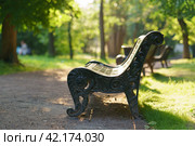 Photography of the green public city park. Sunny summer day. Natural background. Silhouette of man on distance. Empy bench. Resting of nature. Free space for message. Стоковое фото, фотограф YuryKara / Фотобанк Лори