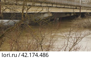 Flood disaster, heavy water flow in a river after a rainstorm. A weather disaster. Muddy river through tree branches. Water almost reaches the top of a car bridge. Natural disasters. Slow motion. Стоковое видео, видеограф Воловодов Владимир / Фотобанк Лори