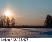 Снег искрится на заснеженном футбольном поле зимним вечером. Стоковое фото, фотограф Евгений Горбунов / Фотобанк Лори