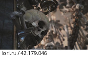 Sedlec, Kutna Hora, Czech Republic - October 17, 2018. Gothic Ossuary Decor: Skulls Aligned in Mortal Art. Стоковое видео, видеограф Даниил Хабаров / Фотобанк Лори
