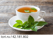 Cup of tea with fresh mint leaves on wooden background. Copy space. Стоковое фото, фотограф Глущенко Елена / Фотобанк Лори