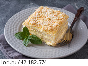 Layered cake with cream Napoleon millefeuille vanilla slice with mint on dark background. Стоковое фото, фотограф Глущенко Елена / Фотобанк Лори