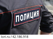 Нашивка на спине "полиция" (2014 год). Редакционное фото, фотограф lana1501 / Фотобанк Лори