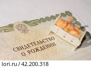 Свидетельство о рождении с маленьким пупсиком в кроватке в лучах солнышка (2024 год). Редакционное фото, фотограф Евгения Золкина / Фотобанк Лори