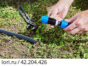 Installation of irrigation water supply using compression coupling fitting with collet clamp. Стоковое фото, фотограф Владимир Григорьев / Фотобанк Лори