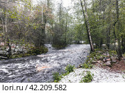 Landscape photo, Volchya river on a cloudy autumn day with first snow on green grass. Sosnovo. Стоковое фото, фотограф EugeneSergeev / Фотобанк Лори