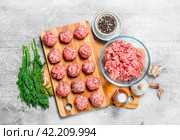 Raw beef meatballs with spices and fragrant dill . Стоковое фото, фотограф Артем Шадрин / Фотобанк Лори