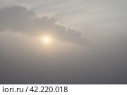 Зимний восход солнца в туманом утре. Стоковое фото, фотограф Алексей Поликарпов / Фотобанк Лори