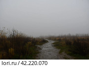 Сельская тропа в осеннем тумане. Стоковое фото, фотограф Алексей Поликарпов / Фотобанк Лори