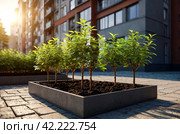 Planted young sapling of trees in an urban environment on territory of house. Background for gentrification of city. Concept of landscaping, nature, environment and ecology. Copy space. Стоковое AI-изображение, AI-художник Aleksandr Golubev / Фотобанк Лори