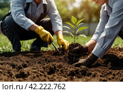 Young people in work uniform with shovel plant tree sapling in ground. Background for gentrification of territory. Concept of landscaping, nature, environment and ecology. Copy space. Стоковое AI-изображение, AI-художник Aleksandr Golubev / Фотобанк Лори
