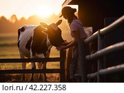 Woman cow farm. Generate Ai. Стоковое AI-изображение, AI-художник Иван Рябоконь / Фотобанк Лори