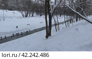 Парк Битца, район Северное Бутово, город Москва, Россия (2024 год). Стоковое видео, видеограф Щеголева Ольга / Фотобанк Лори