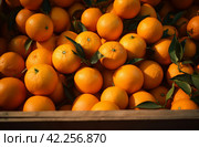 a bunch of oranges crammed in wooden boxes. Стоковое AI-изображение, AI-художник Юлия Гапеенко / Фотобанк Лори