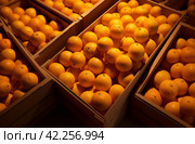 a bunch of oranges crammed in wooden boxes. Стоковое AI-изображение, AI-художник Юлия Гапеенко / Фотобанк Лори