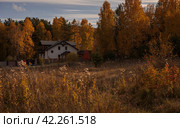 Дом утопает в желтых деревьях. Стоковое фото, фотограф Данила Савченко / Фотобанк Лори