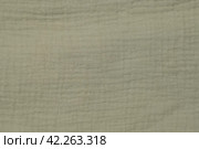 Soft Muslin Detailed Texture. Natural Cotton Fabric Closeup Pattern. Khaki Green Light Chintz Surface. Rotation, Macro. Cozy Textile Background. Clothes Production. Melange Yarn. 4K Shot. Стоковое фото, фотограф Марина Демидюк / Фотобанк Лори