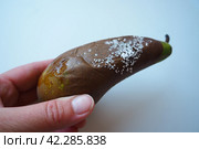 The pear became moldy. A mold or mould. The dust-like, colored appearance of molds is due to the formation of spores containing fungal secondary metabolites. Perishable food products. White background. Стоковое фото, фотограф Юлия Петровская / Фотобанк Лори