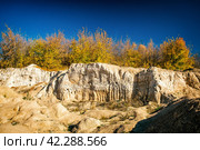 Известняк изрезан ласточкиными норами. Стоковое фото, фотограф Илья Старков / Фотобанк Лори