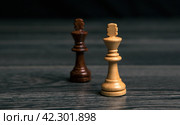 Chess kings on wooden background like before the fight. Стоковое фото, фотограф Александр Калугин / Фотобанк Лори