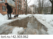 Снег растаял, лужи (2024 год). Редакционное фото, агентство "SPb vedomosti" / Фотобанк Лори