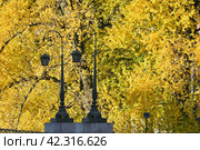 Осенний Санкт-Петербург. Фонари Краснофлотского моста (2014 год). Стоковое фото, фотограф Александр Алексеев / Фотобанк Лори