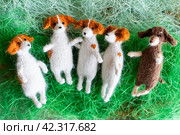 Knitted dogs jack russell terier toy with yarn and knitting accessories. Стоковое фото, фотограф Анатолий Типляшин / Фотобанк Лори