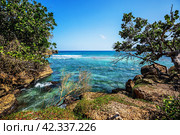 Blue lagoon in Boca de Yuma. Стоковое фото, фотограф Oriole Gin / Фотобанк Лори