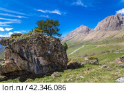 Panoramic view of the Caucasus mountains. Стоковое фото, фотограф Юлия Белоусова / Фотобанк Лори