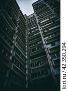 Человейники. Стоковое фото, фотограф Илья Старков / Фотобанк Лори