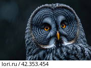 Portrait of great gray owl, strix nebulosa. Стоковое AI-изображение, AI-художник Евгений Харитонов / Фотобанк Лори