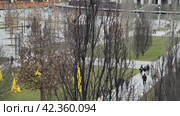 Парк Галицкого Краснодар (2024 год). Редакционное видео, видеограф Елена Букия / Фотобанк Лори