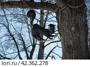 Кот в Карякинском саду (2024 год). Редакционное фото, фотограф Евгений Чердаков / Фотобанк Лори