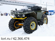 T-Rex quad bike (2024 год). Редакционное фото, фотограф Art Konovalov / Фотобанк Лори