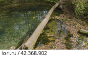 Южный Урал, карстовое озеро Голубой Грифон у реки Зилим. The Southern Urals, the Blue Griffin karst lake near the Zilim River. Стоковое видео, видеограф Евгений Романов / Фотобанк Лори