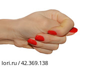 Hand showing fig. Стоковое фото, фотограф Винокуров Александр / Фотобанк Лори
