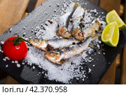 Tasty dish of baked sprat baked in the oven on a pillow of sea salt. Стоковое фото, фотограф Яков Филимонов / Фотобанк Лори