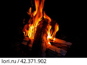 Bonfire. Стоковое фото, фотограф Винокуров Александр / Фотобанк Лори