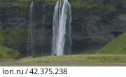 Beautiful Seljalandsfoss waterfall Iceland from distance with unrecognized tourist walking around. Стоковое видео, видеограф Igor Tichonow / Фотобанк Лори