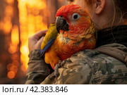 Girl Heroine: Rescue a parrot from a fire in the jungle. Стоковое AI-изображение, AI-художник Юрий Поздников / Фотобанк Лори