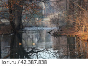 Италия. Милан. Парк Семпионе в Милане (Parco Sempione) (2019 год). Стоковое фото, фотограф Ерохин Дмитрий Викторович / Фотобанк Лори