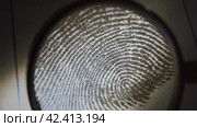 Dactyloscopic expertise of fingerprints. Macro shot. Стоковое видео, видеограф EStarodubov / Фотобанк Лори