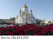 Россия. Саранск. Кафедральный собор Федора Ушакова (2019 год). Стоковое фото, фотограф Ерохин Дмитрий Викторович / Фотобанк Лори