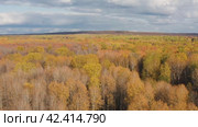 Южный Урал, Башкирия, осенний лес. Вид с воздуха. Southern Urals, Bashkiria, autumn forest. Aerial view. Стоковое видео, видеограф Евгений Романов / Фотобанк Лори