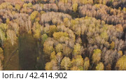 Южный Урал, Башкирия, осенний лес. Вид с воздуха. Southern Urals, Bashkiria, autumn forest. Aerial view. Стоковое видео, видеограф Евгений Романов / Фотобанк Лори