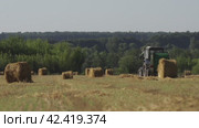 Трактор в поле формирует стога сена  tractor in the field forms haystacks. Стоковое видео, видеограф Опока Алексей / Фотобанк Лори