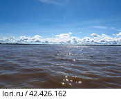 The Amazon river in Peru, South America (2011 год). Стоковое фото, фотограф Сергей Стрелков / Фотобанк Лори